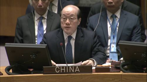 中方为推动解决巴勒斯坦问题提“四点主张”