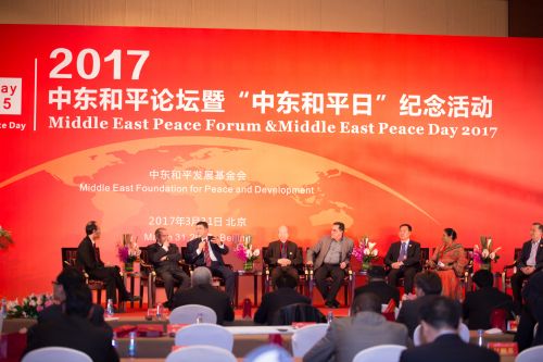 “中东和平日”彰显负责任大国影响