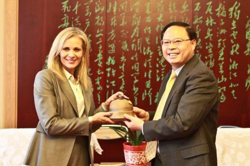 戴青丽：中国在中东主要国家取得经济话语权