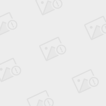 中阿网总裁秦勇:用率性书写传奇