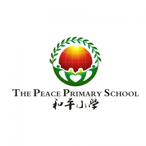 中东和平发展基金会将在中东援建“和平小学”