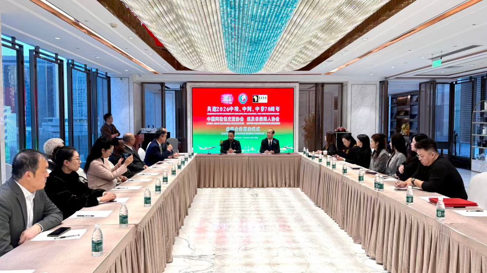 中埃建交70周年丨两国重要民间机构举行经贸对话 擘画合作新蓝图